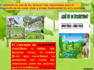 El concepto de  ecosistema  considera a todos los  factores vivos, el medio físico que constituye su ambiente, así como las relaciones entre los mismos que se establecen. El ambiente es uno de los factores más importantes para el  Desarrollo de los seres vivos y el más fundamental es el Ecosistema .  