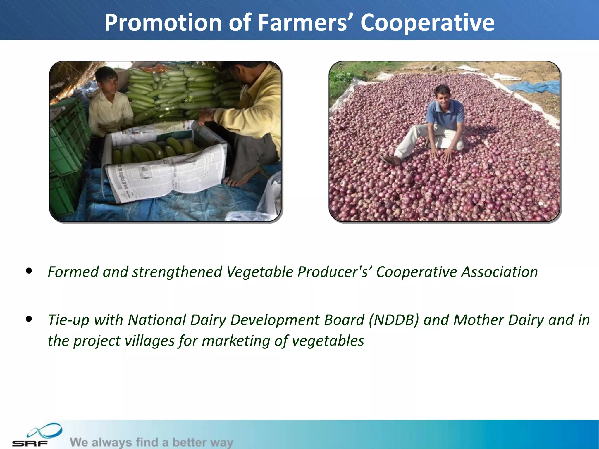 Promotion of Farmers’ Cooperative




• Formed and strengthened Vegetable Producer's’ Cooperative Association

• Tie-up with National Dairy Development Board (NDDB) and Mother Dairy and in
  the project villages for marketing of vegetables




                                                                           16
 