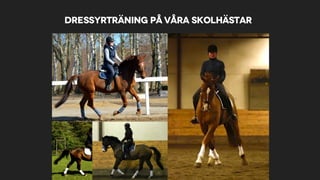 Dressyrträning på våra skolhästar
 