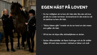 Egen häst på loven?
§ Du har möjlighet att ta hem din häst eller låta den stå kvar
på alla lov under terminen. Sommarlovet är det enda lov då
du behöver ta hem din häst.
§ ”Sköta hästen själv” innebär att du tar hand om det mesta
som gäller din häst.
§ Vill du kan du köpa olika skötseltjänster av skolan.
§ Skolan tillhandahåller de flesta fodringar och du får istället
hjälpa till med vissa moment i skötsel av hästar och stall.
 
