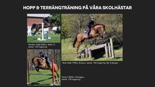 Hopp & terrängträning på våra skolhästar
Rambler född 2000 e. Robin Z,
startat 135 hoppning.
Riola född 1998 e. Bustron, startat 100 hoppning, lätt A-dressyr.
Penty f 2002 e. Pentagon,
startat 130 hoppning.
 