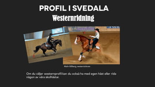 Profil i Svedala
Malin Billberg, westerntränare
Westernridning
Om du väljer westernprofil kan du också ha med egen häst eller rida
någon av våra skolhästar.
 