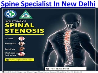Spine Specialist In New Delhi
 