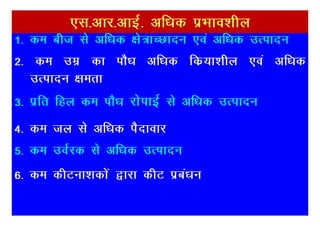 ,l-vkj-vkbZ- vf/kd izHkko’khy
1- de cht ls vf/kd {ks=kPNknu ,oa vf/kd mRiknu
2- de mez dk ikS/k vf/kd fdz;k’khy ,oa vf/kd
   mRiknu {kerk
3- izfr fgy de ikS/k jksikbZ ls vf/kd mRiknu
4- de ty ls vf/kd iSnkokj
5- de moZjd ls vf/kd mRiknu
6- de dhVuk’kdksa }kjk dhV izca/ku
 