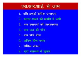,l-vkj-vkbZ- ls ykHk
1. izfr bdkbZ vf/kd mRiknu
2. Qly idus dh vof/k esa deh
3. de jlk;uksa dh vko’;drk
4. de ty dh ekWax
5. de iksps cht
6. vf/kd cht Hkjko
7. vf/kd pkoy
8. e`nk LokLF; esa lq/kkj
 
