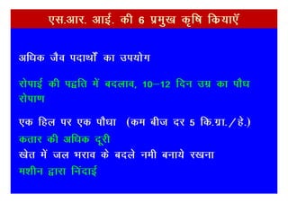 ,l-vkj- vkbZ- dh 6 izeq[k d`f"k fdz;k,Wa

vf/kd tSo inkFkksZa dk mi;ksx

jksikbZ dh i}fr esa cnyko] 10&12 fnu mez dk ikS/k
jksik.k
,d fgy ij ,d ikS/kk (de cht nj 5 fd-xzk-@gs-)
drkj dh vf/kd nwjh
[ksr esa ty Hkjko ds cnys ueh cuk;s j[kuk
e'khu }kjk fuankbZ
 