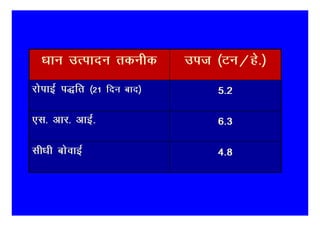/kku mRiknu rduhd         mit ¼Vu@gs-½
jksikbZ i)fr ¼21 fnu ckn½       5-2

,l- vkj- vkbZ-                  6-3

lh/kh cksokbZ                   4-8
 