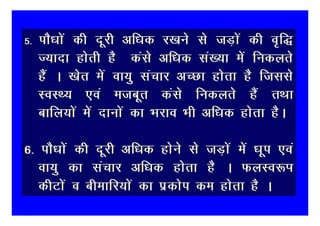 5-   ikS/kksa dh nwjh vf/kd j[kus ls tM+ksa dh o`f)
     T;knk gksrh gS dals vf/kd la[;k esa fudyrs
     gSa A [ksr esa ok;q lapkj vPNk gksrk gS ftlls
     LoLF; ,oa etcwr dals fudyrs gSa rFkk
     ckfy;ksa esa nkuksa dk Hkjko Hkh vf/kd gksrk gSA

6- ikS/kksa dh nwjh vf/kd gksus ls tM+ksa esa /kwi ,oa
   ok;q dk lapkj vf/kd gksrk gS A QyLo:Ik
   dhVksa o chekfj;ksa dk izdksi de gksrk gS A
 