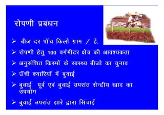 jksi.kh izca/ku
  cht nj ikWap fdyks xzke @ gs-
 jksi.kh gsrq 100 oxZehVj {ks= dh vko’;drk
 vuqlaf’kr fdLeksa ds LoLF; chtks dk pquko
 mWaph D;kfj;ksa esa cqokbZ
 cqokbZ iwoZ ,oa cqokbZ mijkar lsUnzh; [kkn dk
 mi;ksx
 cqokbZ mijkar >kjs }kjk flapkbZ
 