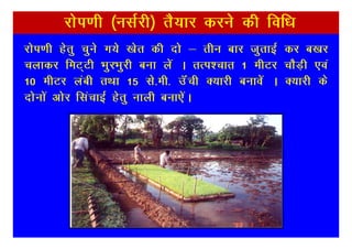 jksi.kh ¼ulZjh½ rS;kj djus dh fof/k
jksi.kh gsrq pqus x;s [ksr dh nks & rhu ckj tqrkbZ dj c[kj
pykdj feV~Vh HkqjHkqjh cuk ysa A rRi’pkr 1 ehVj pkSM+h ,oa
10 ehVj yach rFkk 15 ls-eh- mWaph D;kjh cukosa A D;kjh ds
nksuksa vksj flapkbZ gsrq ukyh cuk,saA
 