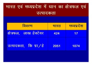 Hkkjr ,oa e/;izns'k esa /kku dk {ks=Qy ,oa
                mRikndrk

        fooj.k          Hkkjr    Ek/;izns’k
{ks=Qy] yk[k gsDVs;j     424        17

mRikndrk] fd xzk@gs     2051       1074
 