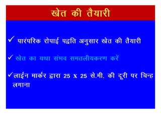 [ksr dh rS;kjh

 ikjaifjd jksikbZ i}fr vuqlkj [ksr dh rS;kjh

[ksr dk ;Fkk laHko leryh;dj.k djsa

ykbZu ekdZj }kjk 25 x 25 ls-eh- dh nwjh ij fpUg
yxkuk
 
