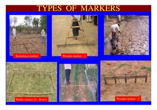 TYPES OF MARKERS




Koundinya marker           Wooden marker - 1




Roller marker (8 – Rows)                       Wooden marker - 2
 