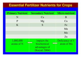 Essential Fertilizer Nutrients for Crops

Primary Nutrient   Secondary Nutrient   Micro nutrient
       N                  Ca                   B
       P                  Mg                  Cu
       K                   S                  Fe
                                              Mn
                                              Mo
                                              Zn
   1,000,000          impairs the       Deficiency of 1
   atoms of N         biochemical        atom of Mo
                     advantages of
                     (Katyal, 2004)
 