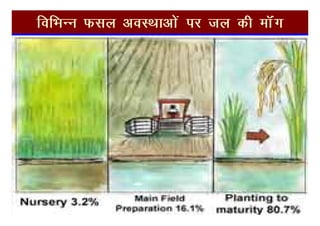 fofHkUu Qly voLFkkvksa ij ty dh ekWax
 