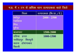 e-iz- esa 1 Vu ls vf/kd /kku mRikndrk okys ftys
           ftyk          mRikndrk ¼fd-xzk-@gs-½
   ';ksiqj                   2000 - 2500
   Xokfy;j
   fHkaM
   eqjSuk
   Ckkyk?kkV                  1500-2000
   nfr;k gjnk                 1000-1500
   Ukjflagiqj f'koiqjh
   Lkruk gks'kaxkckn
   flouh
 