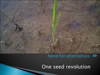 Need for alternatives

One seed revolution
 
