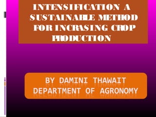 INTENSIFICATION A
SUSTAINABLE METHOD
FOR INCRASING CROP
PRODUCTION
 