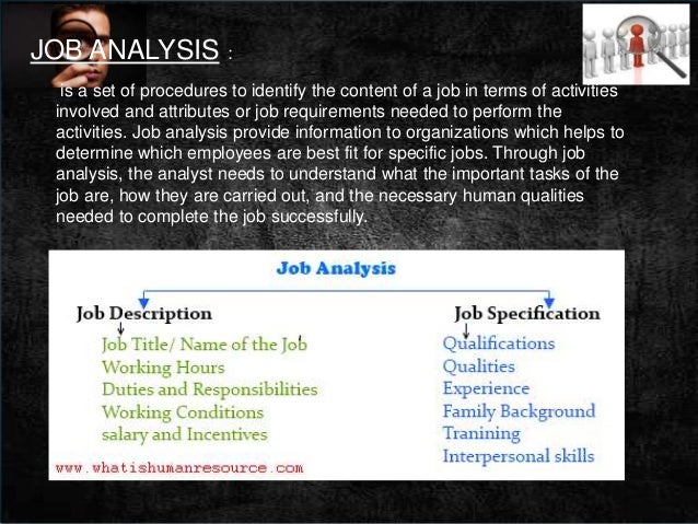 product development manager job description