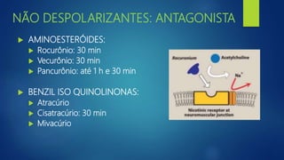 NÃO DESPOLARIZANTES: ANTAGONISTA
 AMINOESTERÓIDES:
 Rocurônio: 30 min
 Vecurônio: 30 min
 Pancurônio: até 1 h e 30 min
 BENZIL ISO QUINOLINONAS:
 Atracúrio
 Cisatracúrio: 30 min
 Mivacúrio
 