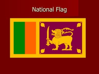 National Flag 