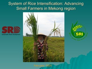 System of Rice Intensification: Advancing Small Farmers in Mekong region February, 2009 