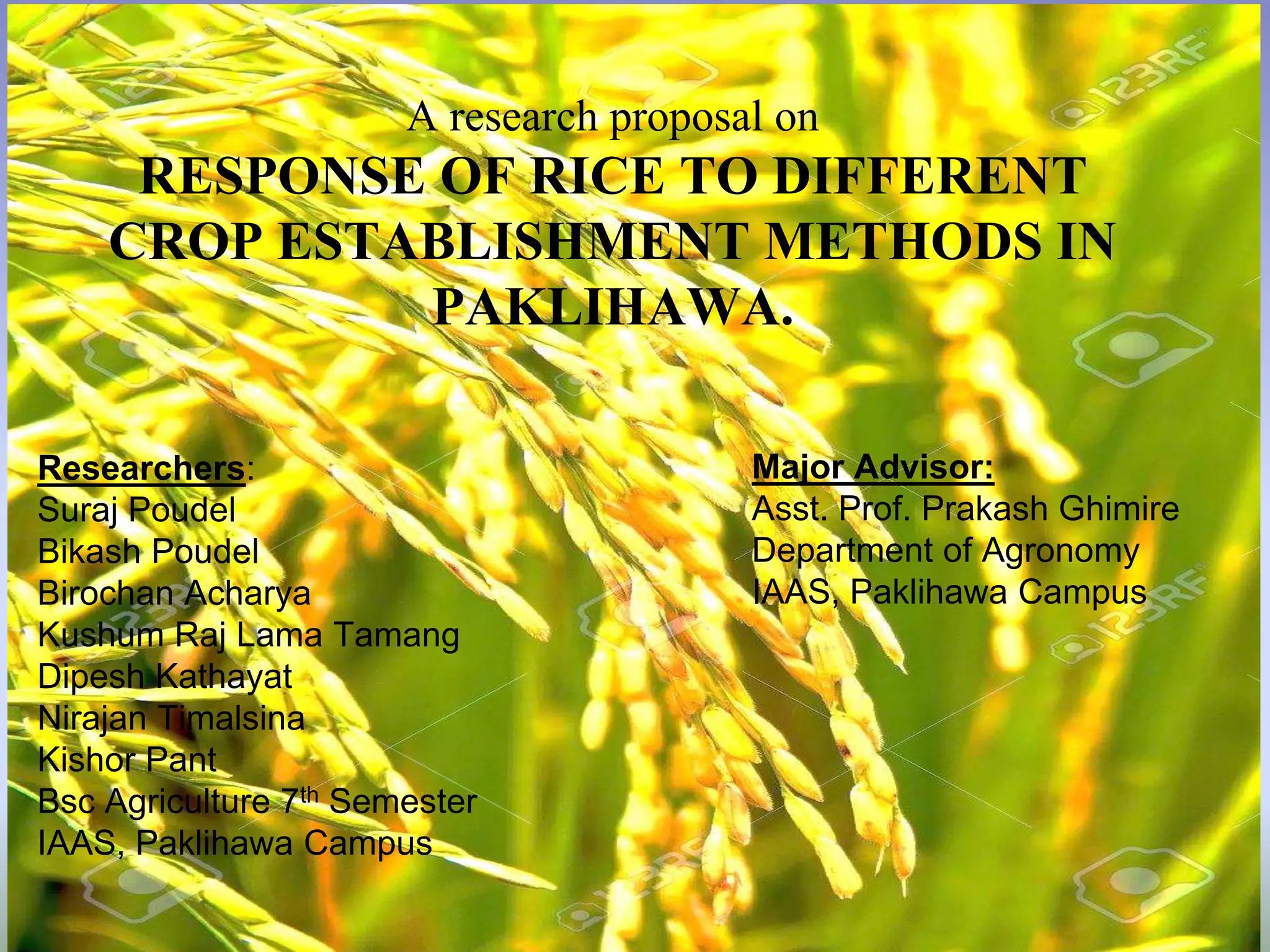 Presentation of Proposal for Rice trial | PPTX