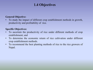Presentation of Proposal for Rice trial | PPTX