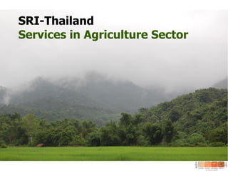 SRI-Thailand
Services in Agriculture Sector
 