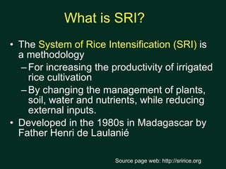 Sri Example 1170 System of Rice Intensification SRI - A Global Overview | PPT