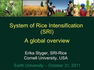 System of Rice Intensification  (SRI) A global overview Erika Styger, SRI-Rice Cornell University, USA Earth University – October 31, 2011 