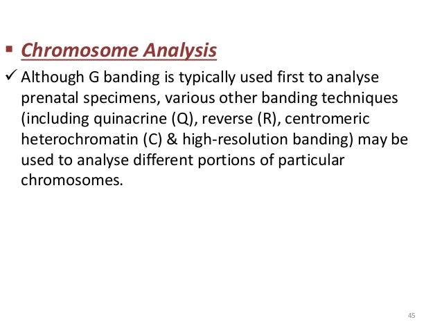 ï§ Chromosome Analysis  ï¼ Although G banding is typically used first to analyse  prenatal specimens, various other banding ...