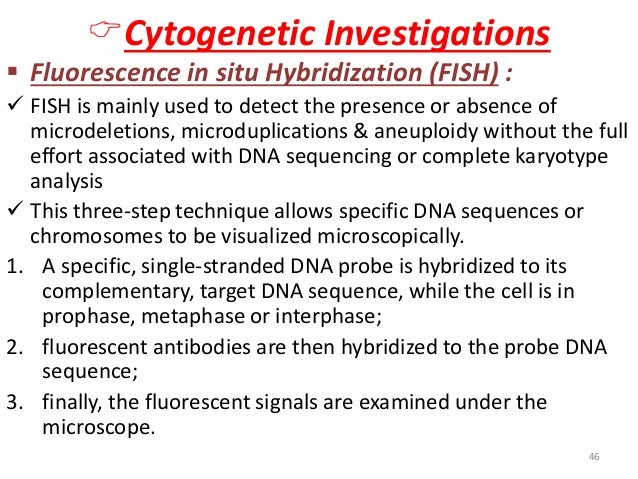 ïCytogenetic Investigations  ï§ Fluorescence in situ Hybridization (FISH) :  ï¼ FISH is mainly used to detect the presence o...