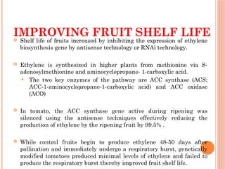 IMPROVING FRUIT SHELF LIFE
 Shelf life of fruits increased by inhibiting the expression of ethylene
biosynthesis gene by antisense technology or RNAi technology.
 Ethylene is synthesized in higher plants from methionine via S-
adenosylmethionine and aminocyclopropane- 1-carboxylic acid.
 The two key enzymes of the pathway are ACC synthase (ACS;
ACC-1-aminocyclopropane-1-carboxylic acid) and ACC oxidase
(ACO)
 In tomato, the ACC synthase gene active during ripening was
silenced using the antisense techniques effectively reducing the
production of ethylene by the ripening fruit by 99.5% .
 While control fruits begin to produce ethylene 48-50 days after
pollination and immediately undergo a respiratory burst, genetically
modified tomatoes produced minimal levels of ethylene and failed to
produce the respiratory burst thereby improved fruit shelf life.
 