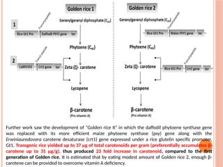 Further work saw the development of “Golden rice II” in which the daffodil phytoene synthase gene
was replaced with its more efficient maize phytoene synthase (psy) gene along with the
Erwiniauredovora carotene desaturase (crt1) gene expressed under a rice glutelin specific promoter,
Gt1. Transgenic rice yielded up to 37 μg of total carotenoids per gram (preferentially accumulates β-
carotene up to 31 µg/g), thus produced 23 fold increase in carotenoid, compared to the first
generation of Golden rice. It is estimated that by eating modest amount of Golden rice 2, enough β-
carotene can be provided to overcome vitamin A deficiency.
 