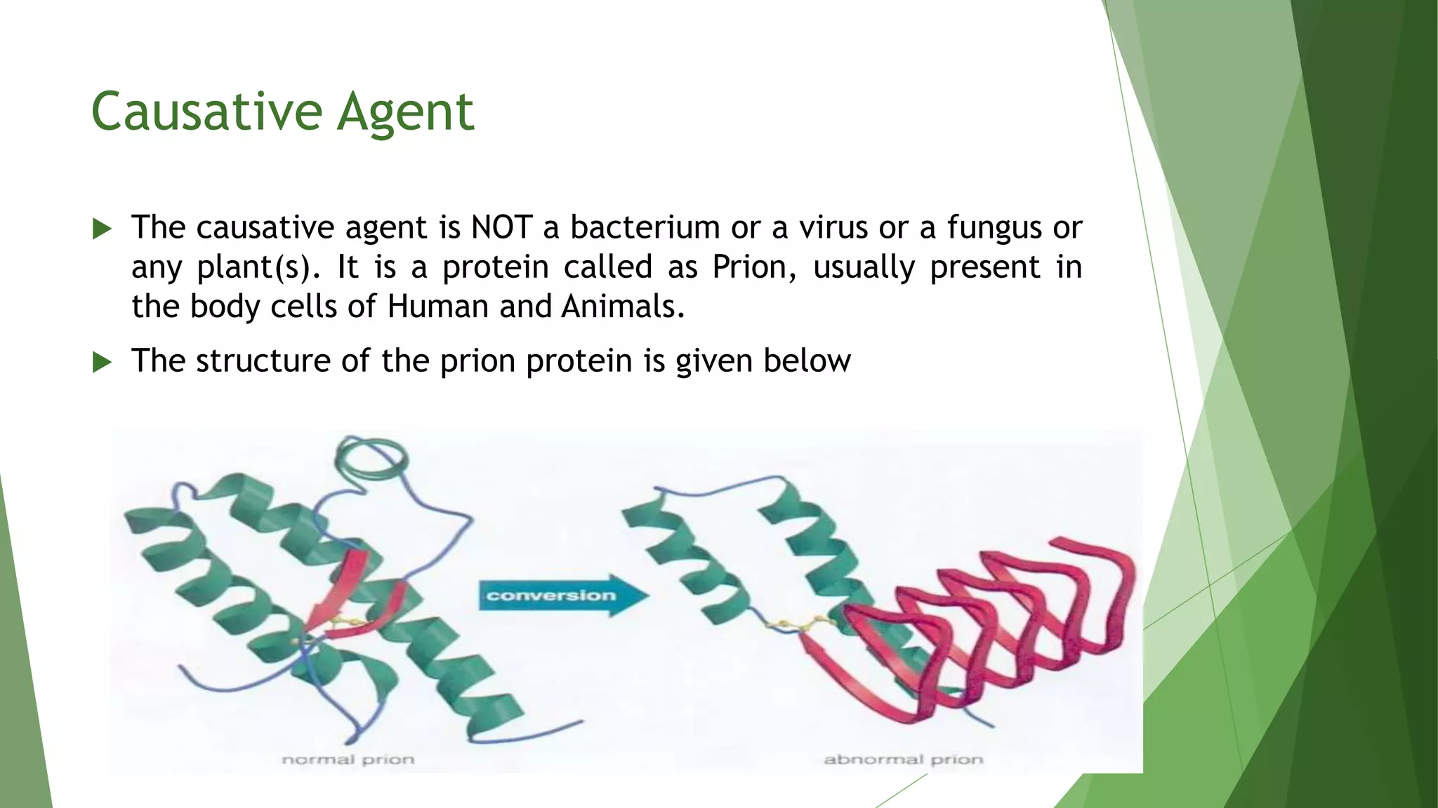TSE/BSE Evaluation | PPTX