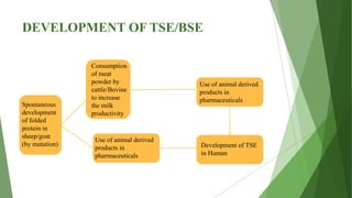 TSE/BSE Evaluation | PPTX