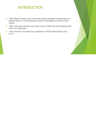 Tmv Vector Viral diseases Tobacco Mosaic Virus (TMV) | PDF