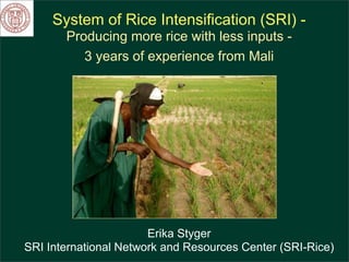 System of Rice Intensification (SRI) -
Producing more rice with less inputs -
3 years of experience from Mali
Erika Styger
SRI International Network and Resources Center (SRI-Rice)
 