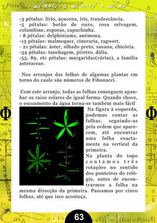 -3 pétalas: lírio, açucena, íris, trandescância.
-5 pétalas: botão de ouro, rosa selvagem,
columbine, esporas, capuchinha.
- 8 pétalas: delphiniums, anémona.
-13 pétalas: malmequer, cineraria, ragwort.
- 21 pétalas: áster, olhado preto, susana, chicória.
-34 pétalas: tanchagem, píretro, dália.
-55, 89, etc pétalas: margaridas(várias), a família
asteraceae.

 Nos arranjos das folhas de algumas plantas em
torno do caule são números de Fibonacci.

 Com este arranjo, todas as folhas conseguem apan-
har os raios solares de igual forma. Quando chove,
o escoamento da água torna-se também mais fácil
                               Na figura à esquerda,
                              podemos contar as
                              folhas, seguindo-as
                              pela ordem que apare-
                              cem, até encontrar
                              uma folha exacta-
                              mente na vertical da
                              primeira.
                              Na planta do topo
                              contamos três
                              rotações no sentido
                              dos ponteiros do reló-
                              gio, antes de encon-
                              trarmos a folha na
mesma direcção da primeira. Passamos por cinco
folhas, até que isso aconteça.



                        63
 