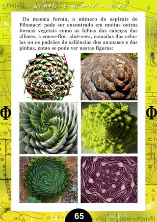 Da mesma forma, o número de espirais de
Fibonacci pode ser encontrado em muitas outras
formas vegetais como as folhas das cabeças das
alfaces, a couve-flor, aloé-vera, camadas das cebo-
las ou os padrões de saliências dos ananases e das
pinhas, como se pode ver nestas figuras:




                       65
 