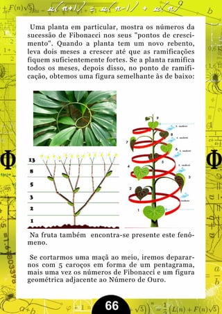 Uma planta em particular, mostra os números da
sucessão de Fibonacci nos seus "pontos de cresci-
mento". Quando a planta tem um novo rebento,
leva dois meses a crescer até que as ramificações
fiquem suficientemente fortes. Se a planta ramifica
todos os meses, depois disso, no ponto de ramifi-
cação, obtemos uma figura semelhante às de baixo:




Na fruta também encontra-se presente este fenó-
meno.

 Se cortarmos uma maçã ao meio, iremos deparar-
nos com 5 caroços em forma de um pentagrama,
mais uma vez os números de Fibonacci e um figura
geométrica adjacente ao Número de Ouro.



                       66
 