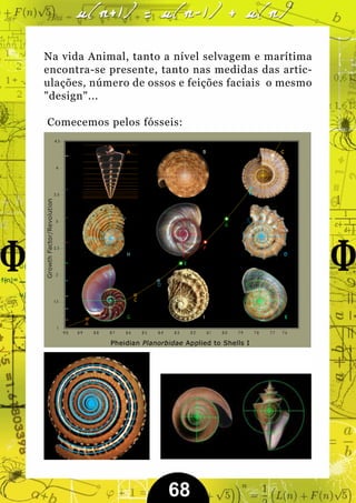 Na vida Animal, tanto a nível selvagem e marítima
encontra-se presente, tanto nas medidas das artic-
ulações, número de ossos e feições faciais o mesmo
"design"...

Comecemos pelos fósseis:




                       68
 