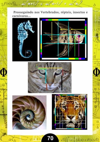 Prosseguindo nos Vertebrados, répteis, insectos e
carnívoros...




                       70
 