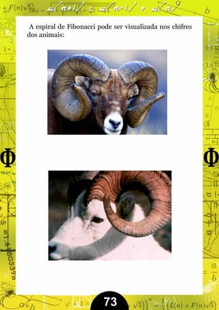 A espiral de Fibonacci pode ser visualizada nos chifres
dos animais:




                          73
 
