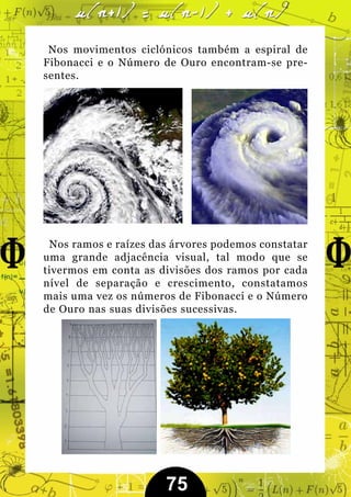 Nos movimentos ciclónicos também a espiral de
Fibonacci e o Número de Ouro encontram-se pre-
sentes.




 Nos ramos e raízes das árvores podemos constatar
uma grande adjacência visual, tal modo que se
tivermos em conta as divisões dos ramos por cada
nível de separação e crescimento, constatamos
mais uma vez os números de Fibonacci e o Número
de Ouro nas suas divisões sucessivas.




                      75
 