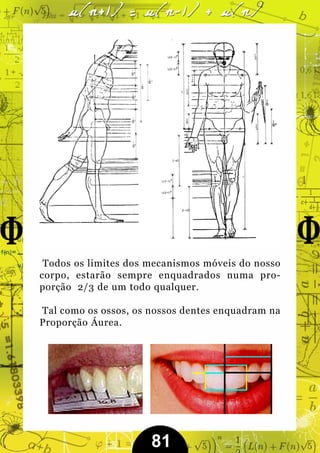 Todos os limites dos mecanismos móveis do nosso
corpo, estarão sempre enquadrados numa pro-
porção 2/3 de um todo qualquer.

Tal como os ossos, os nossos dentes enquadram na
Proporção Áurea.




                      81
 