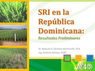 SRI en la
República
Dominicana:
Resultados Preliminares

Dr. Manuel D. Sánchez Hermosillo, IICA
Ing. Antonio Gómez, IDIAF
 
