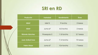 SRI en RD
Productor Variedad Rendimiento Área
IDIAF Idiaf 3 9 ton/ha 2 tareas
IDIAF Juma 67 8.5 ton/ha 2 tareas
Rómulo Sánchez Prosequisa 5 11.8 ton/ha 3.7 tareas
Juan Aníbal Inoa Juma 67 7.14 ton/ha 70 tareas
Fabio Diasa Juma 67 10.4 ton/ha 7 tareas
 