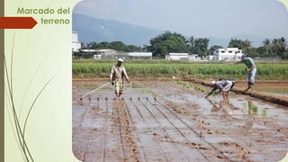 Marcado del
terreno
 